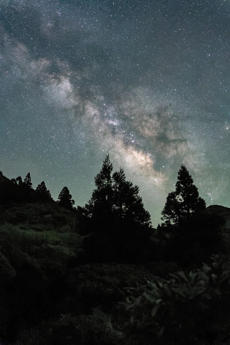 Starry Night in the Forest Clearing